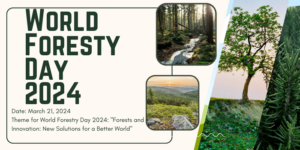 World Forestry Day 2024