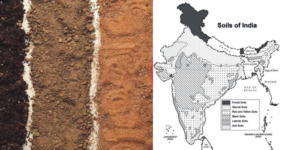 soil of india